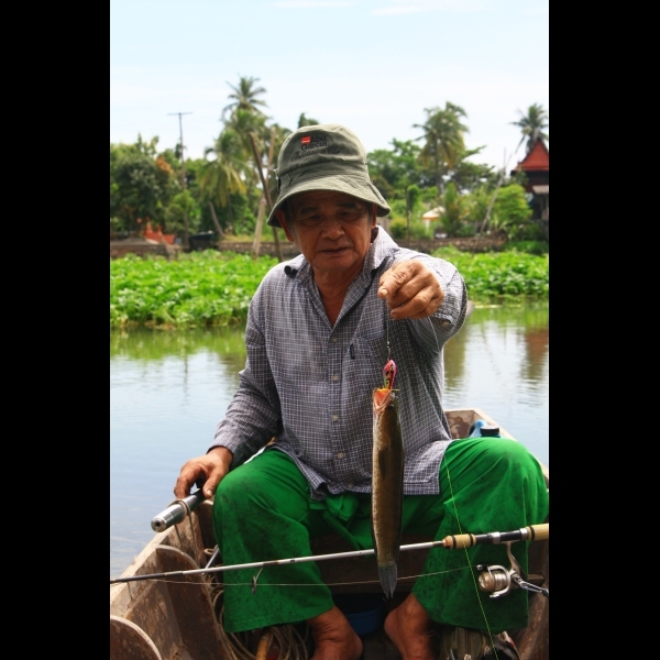 ตัวไม่โตครับ แต่กัดดุจัง :grin: