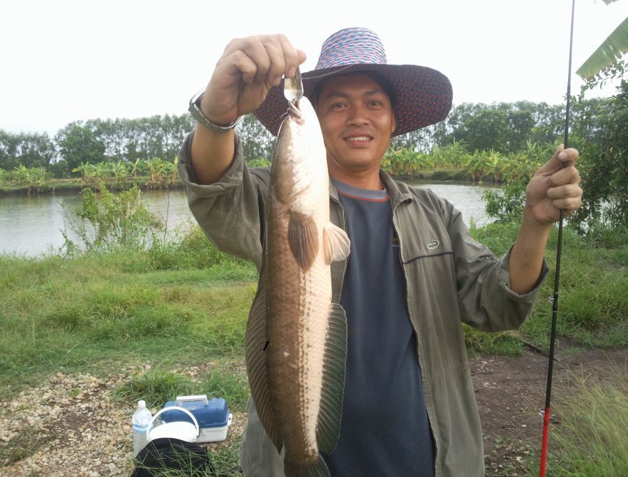 สปูนจ้า