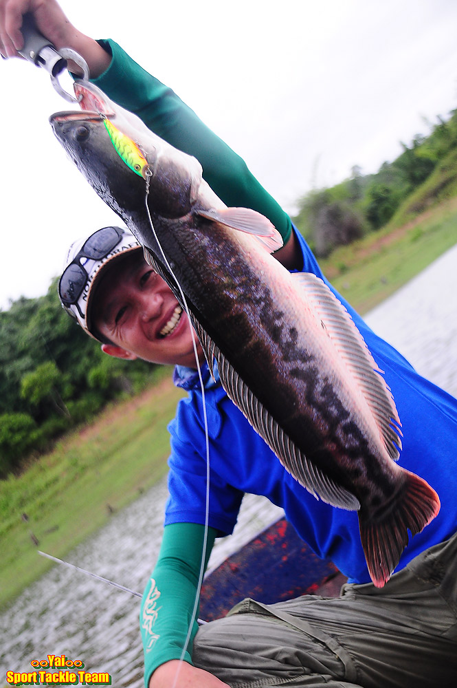 ยังๆไม่หมดแถมแบบเอียงๆไปดูเล่นอีกใบ :laughing: :laughing: :laughing: :laughing: :cool: :ohh: