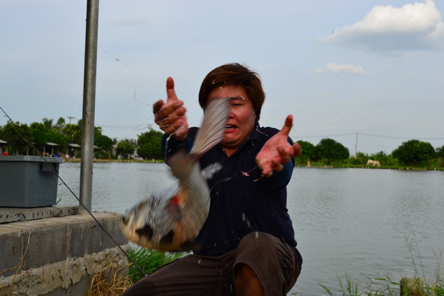 เมือกเพียบๆอย่างลื่น หยิบมาถ่ายรูปแทบทุกตัวดิ้นหลุดมือทุกตัว ดีว่ายกไม่สูงเลยไม่เจ็บมาก