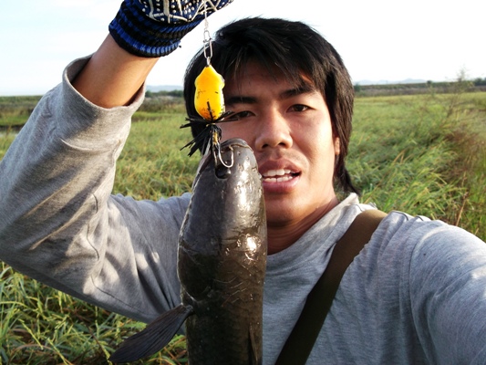 เป็นทีของผมบ้างหาตั้งนานไซส์นี้ :laughing: :laughing: :laughing: :laughing: :laughing: