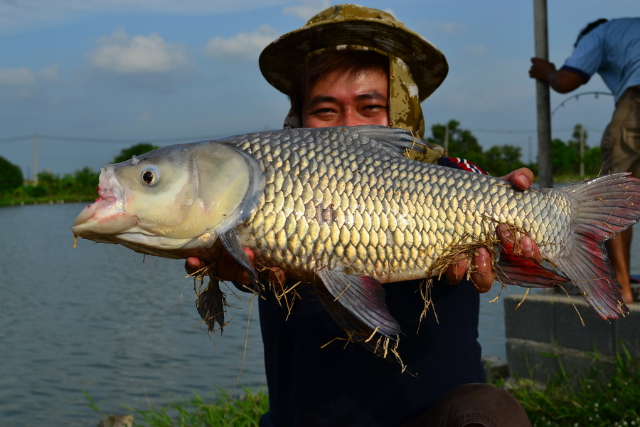 ไม่สนครับหยิบขึ้นมาถ่ายใหม่ :grin: