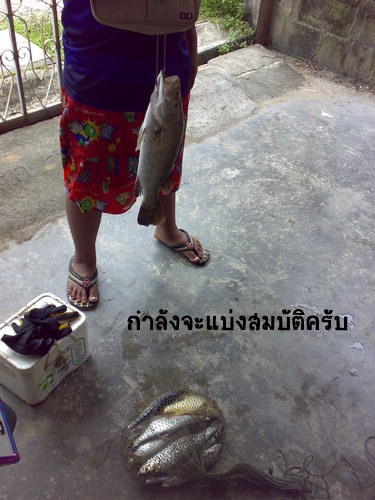  :grin: :grin: :grin: