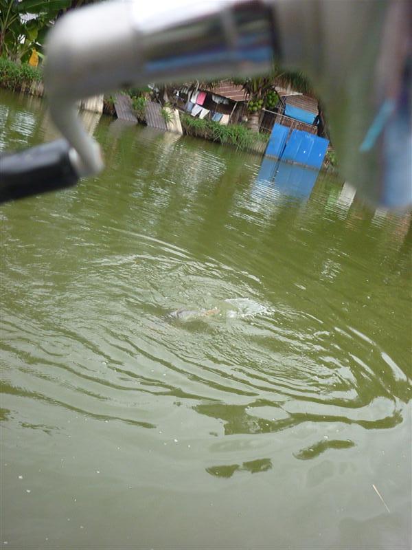 ภาพมุมนี้มั่ง