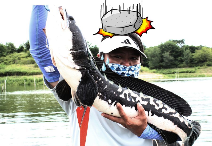 หนักพอได้เลย หัวแทบแตก :grin: