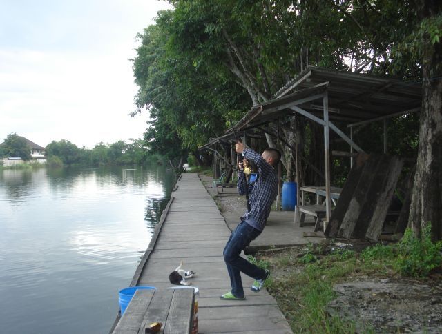 มันๆๆๆๆๆๆๆไม่ได้เย่อนาน     น้องแมวถึงกะนอนเชียร์ :laughing: