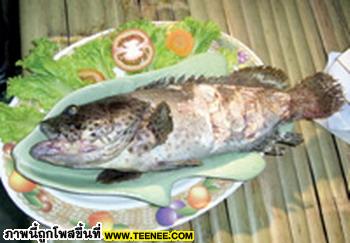       4+           ปลาสองแผ่นดิน เมนู นี้สามารถหากินได้จากประเทศจีนหรือไทยก็ได้ครับ วิธีการทำต้องใช้