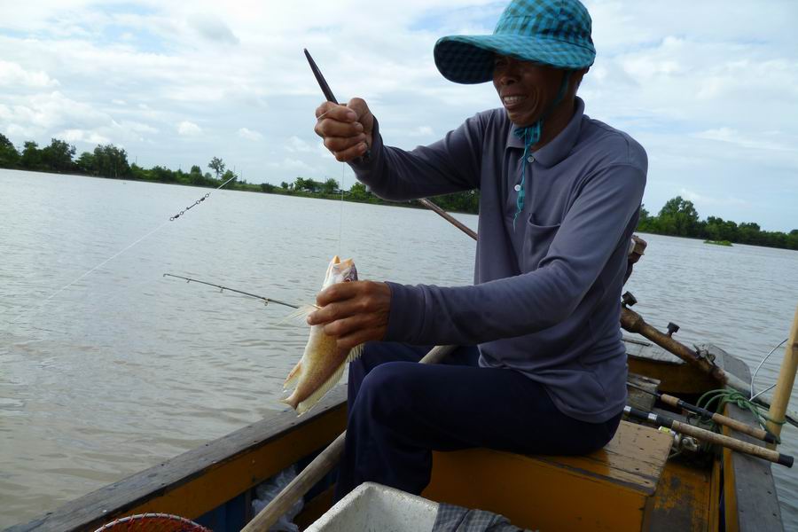น้องกิ่วอีกแล้วครับ วันนี้ไม่มีคู่แข่งครับ เรืออีกสี่ลำไปตกกุ้งกันหมด มีตกปลาผมลำเดียวไม่มีใครแย่งหม