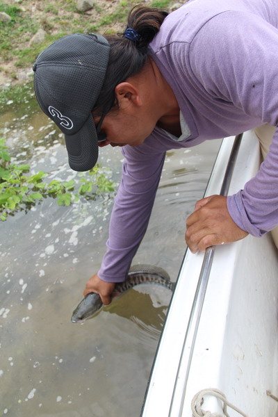 ได้เวลากลับสู่พื้นน้ำเพื่อแพร่พันธุ์ต่อไป :cool: :cool: :cool: :cool: :cool: