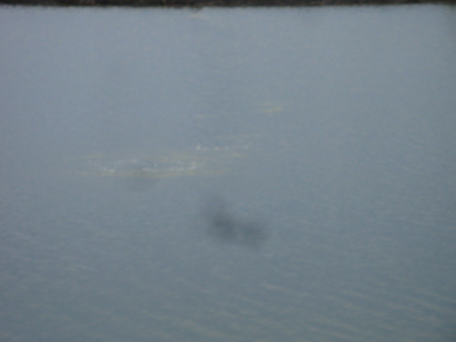 [q][i]อ้างถึง: joefish. posted: 08-08-2554, 08:05:31[/i]

เสียดายไม่ได้ไป :grin:[/q]



 :grin