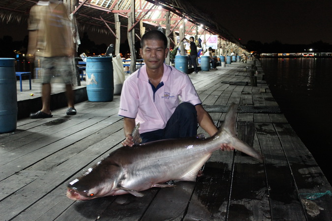 สุดยอดตีกิน โดนทุกเม็ด     :cheer: :cheer: :cheer: