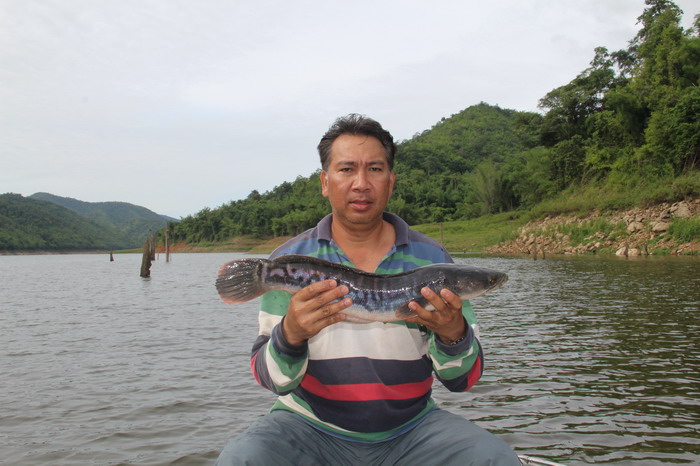 น้าหลิม บอกม่ายด๋ายเสียงแหลมเลย เราต้องจัดม้าง :grin: :grin: :grin: :grin: :grin: :grin: