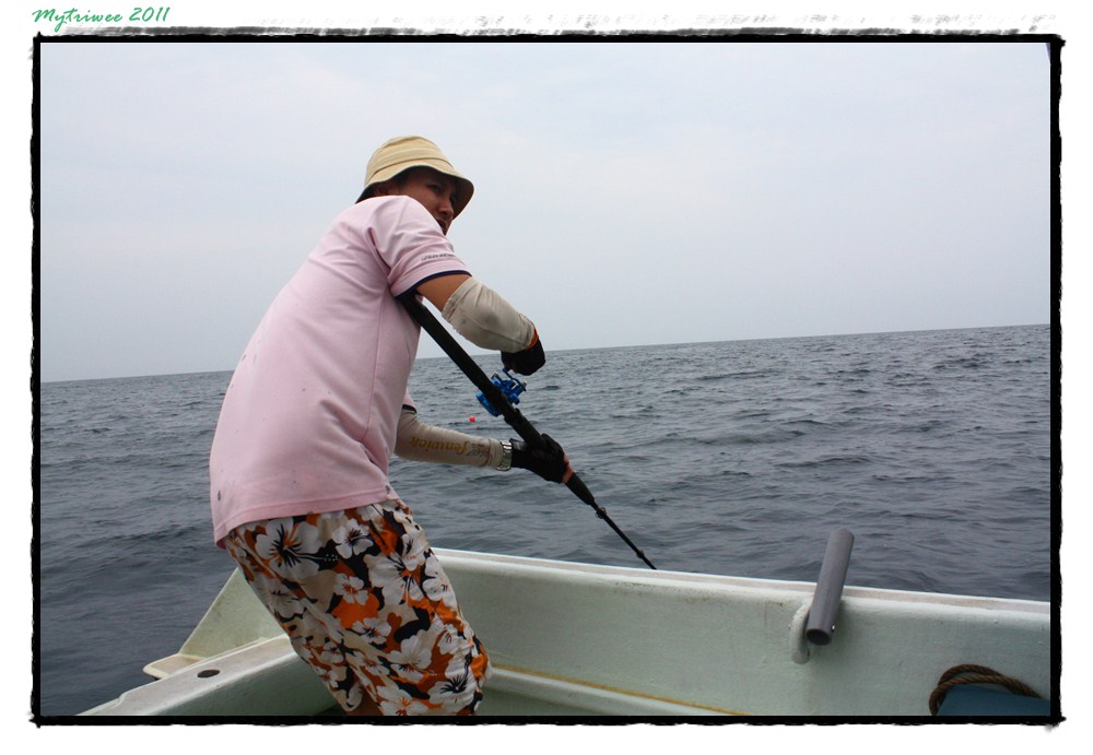 กระโดดอยู่หลายทีถ่ายไม่ทัน  มันก็มุดเข้าใต้ท้องเรือ :smile: