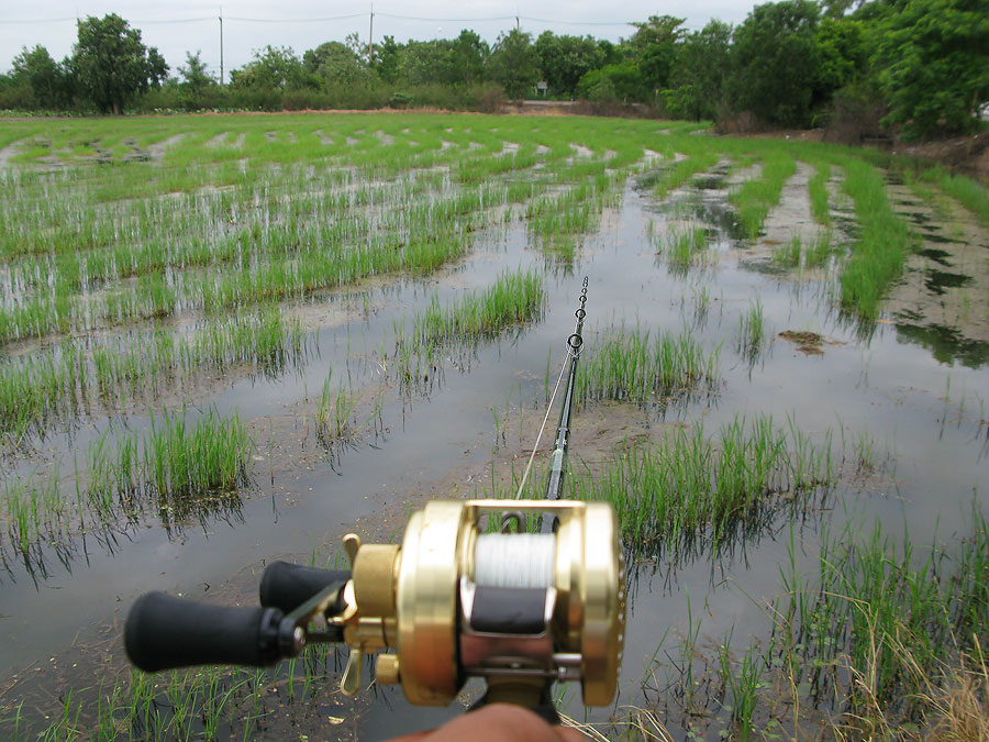 [q][i]อ้างถึง: FiShinGPex posted: 10-08-2554, 22:28:54[/i]

++++++++++ :love: :love: :love: :love: