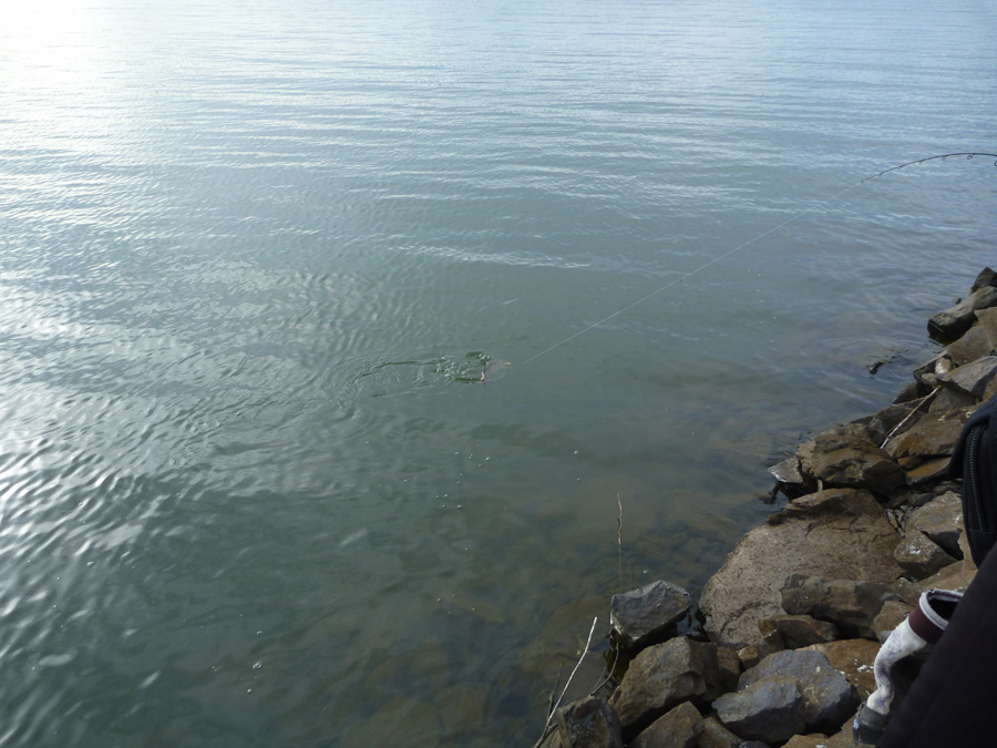 หมดแรง  :kiss: