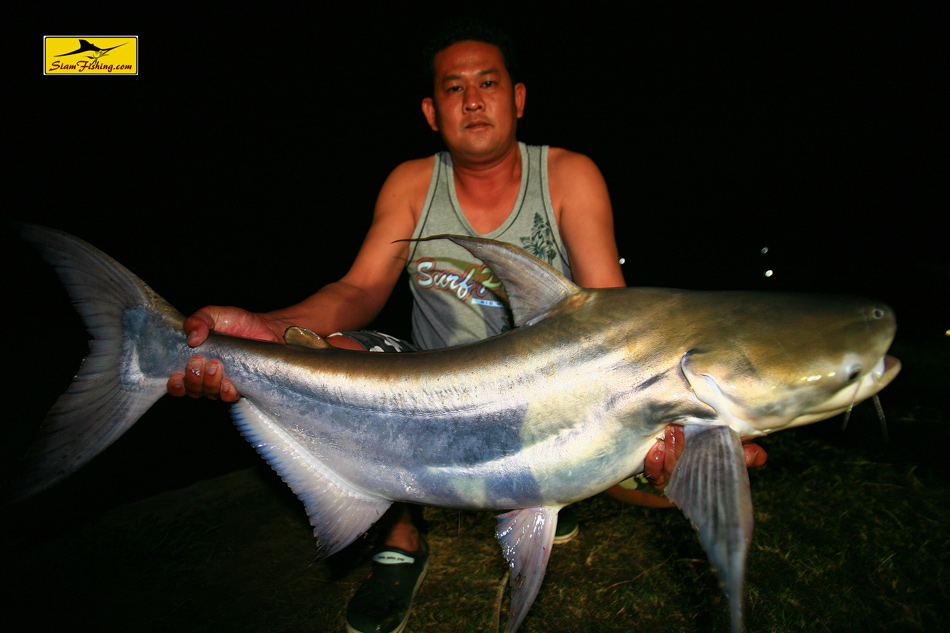 IT Lake Monsters... ที่นี่มีแต่ของใหญ่