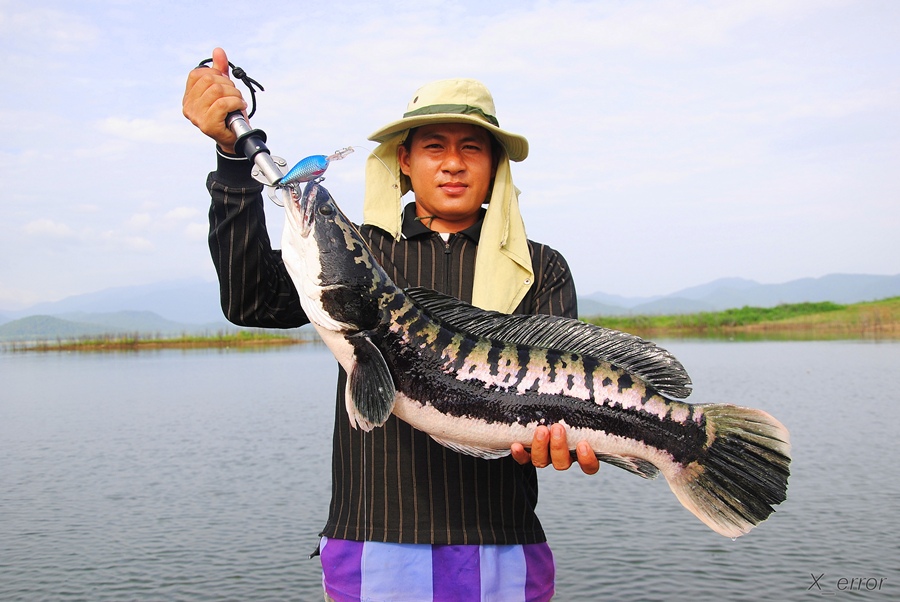  [b]คนถือปลา พูดออกมา  ปีนี้ผมรอดแล้วครับ โทรฟี๊ของผม[/b] :laughing: :laughing: :laughing: :laughing