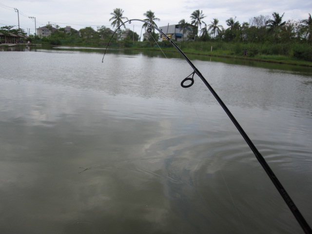 ลองกลับมาเล่นคันเวทอ่อนๆแล้ว มันส์มากมายเลยครับ ขอบอก
