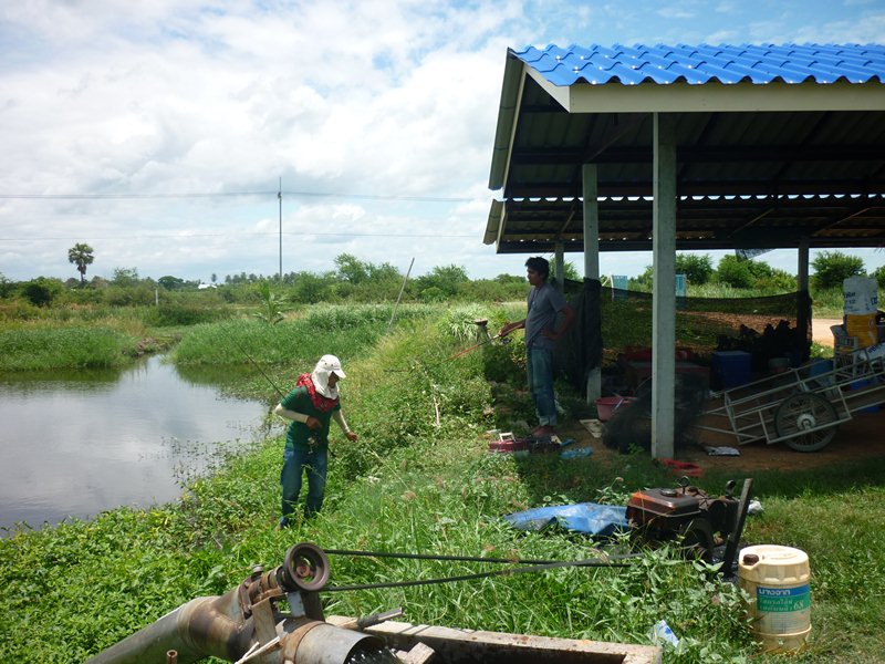  [center]หันมาเอาจริงเอาจังกับปลาหมอเต็มตัวและเรา:laughing: :grin:[/center] 