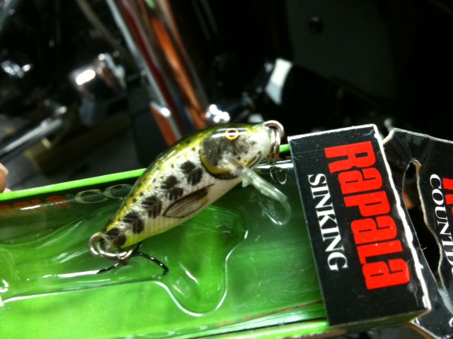 ตัวที่สอง
RAPALA 
countdown
cd-1   2.5cm.  2.7g.

 :cheer: :cheer: :cheer: :grin: