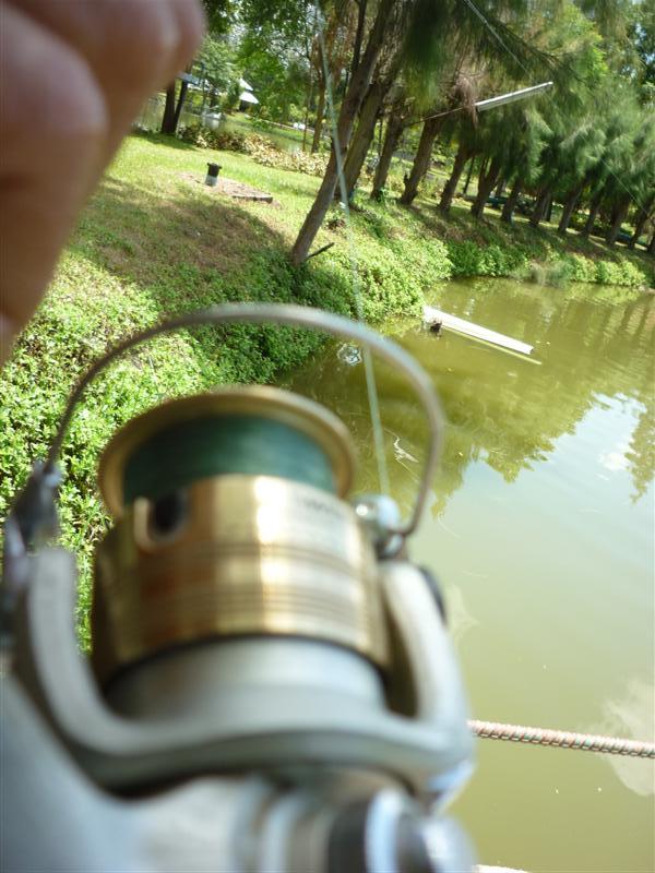 วิ่งยาวๆเร็ว ตรงเลาะไปทางหน้าซ้ายยาวๆ  สุดภาพจะเป็นต้นไทรไม่ใหญ่มากแต่คนเดียวไม่รู้จะไปต่อยังไง ? ตา