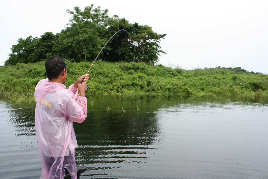  [b]หลังจากฝนมา....ฟ้าก้อใส...และก้อโดนนน ครับ..[/b] :laughing: :laughing: :laughing:
