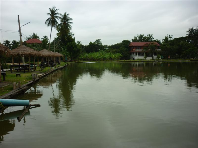 บรรยากาศบ่อเหมาะสำหรับตกปลาเกล็ด