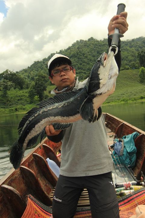 [q][i]อ้างถึง: apple39 posted: 15-08-2554, 18:32:15[/i]

[q][i]อ้างถึง: e_e posted: 15-08-2554, 18