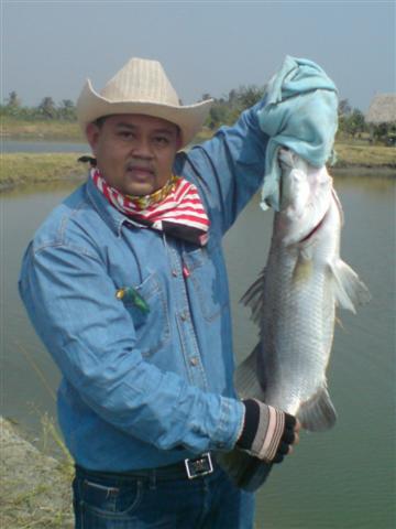 ร่วมกันแชร์ภาพถ่าย(แก้ไขแล้วครับ)