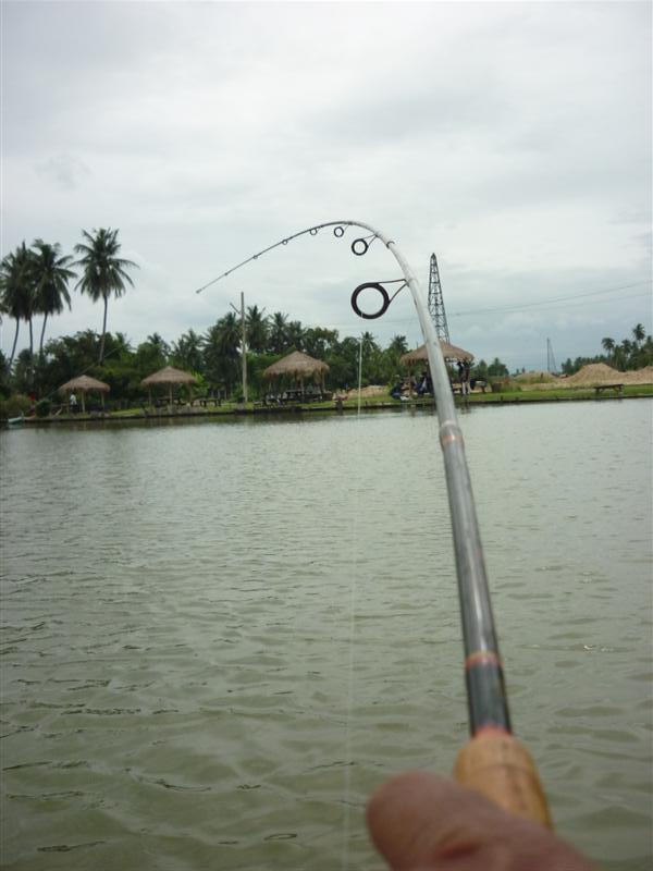 ลมแรง ฝนก็จะตกครับ แย่แล้ว  

                                            เจ้านี่ก็มาคว้าทุ่นหายท่