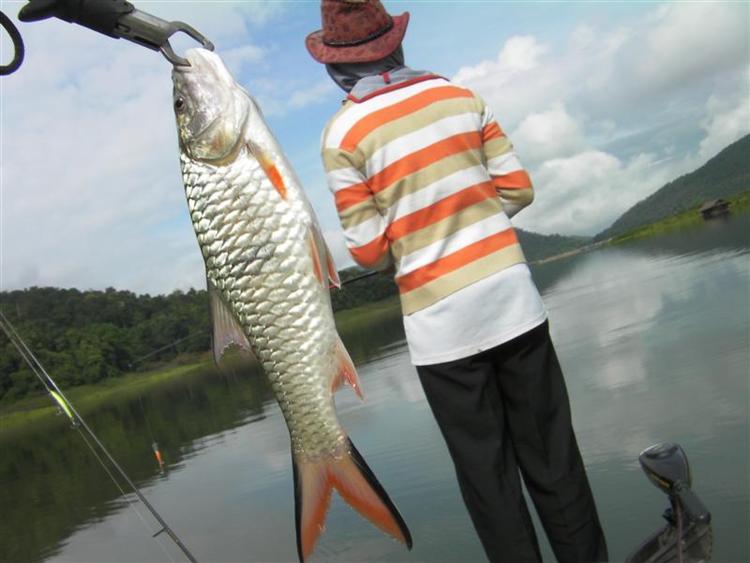  [b]เสียเวลาไล่ครอกไปสองชั่วโมงครับ มันว่ายตามเรือที่เขากำลังใส่ตาข่ายเฉยเลยครับ ไม่อยากถ่ายรูปเลย เ