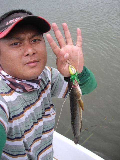 ตัวที่4ครับน้าๆ :grin: