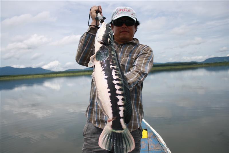 รูปสุดท้ายครับ เนื่องจากผมโดนพวกโทรตามธุระด่อนจึงจำเป็นต้องรีบกลับ

พร้อมกับฝากรอยแค้นไว้1ดอก โดนไ