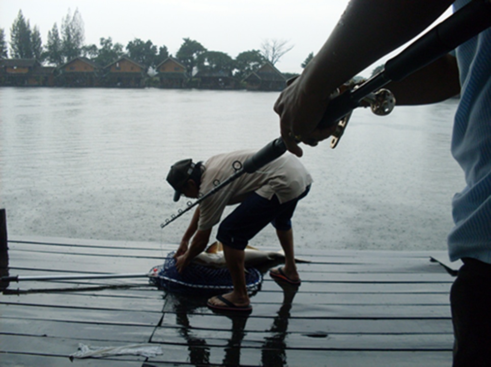 ปลากินจัดมาก ขนาดฝนตกเฮียยังอัดขึ้นมาอีกตัว :cheer: