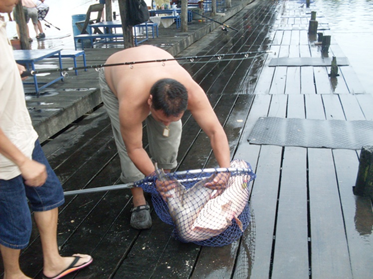 ตัวนี้ของพี่ช้างครับ พอฝนหยุดก็อัดต่อเลย ฟิตจริงๆ :cheer: