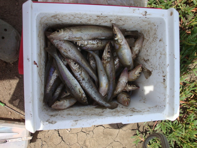  :grin: :grin: :grin: