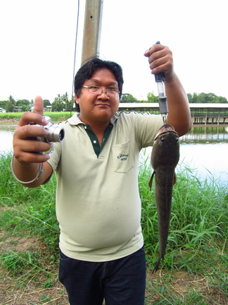 เราก็ไม่น้อยหน้า จัดมา 1 หน่วย (ปลายืมนะ!!!)

 :grin: :grin: :grin: :grin: :grin:

รูปหมดแล้วครั