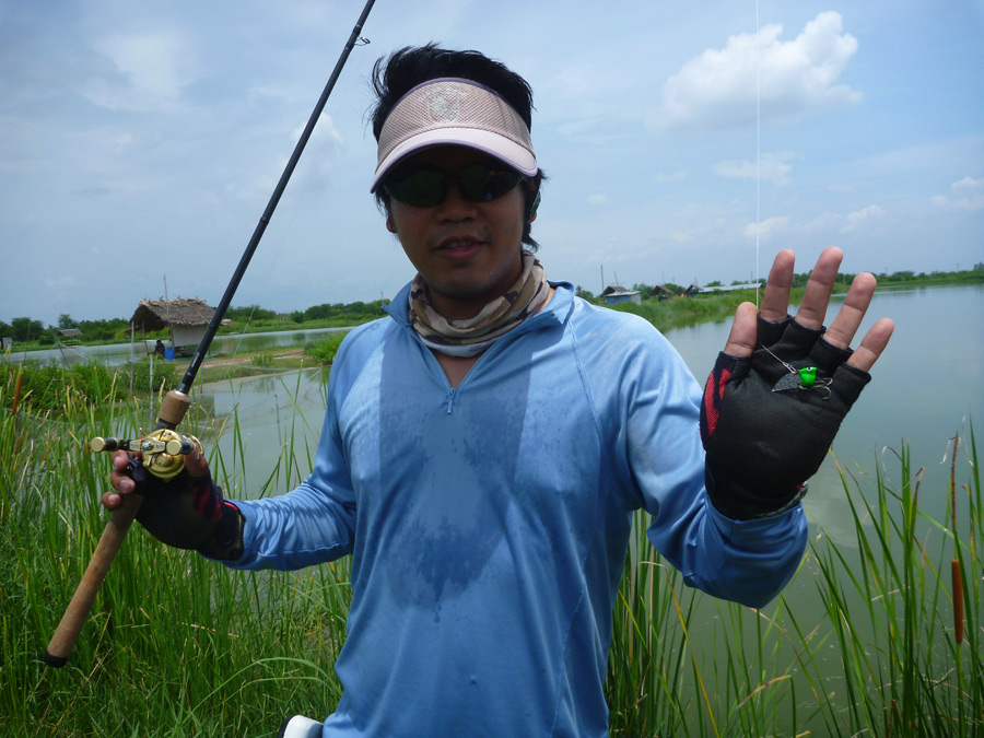 มารกระดี่ ตีไก่ (ชน)  :grin: