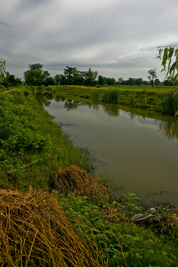 เปลี่ยนหมายดูบ้าง หมายนี้น้ำเยอะหน่อย
น่าจะมีปลาอยู่นะเนี่ย





 :smile: :smile: :smile: :sm