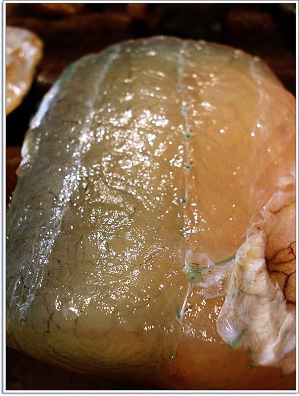  [b]เช้าวันใหม่++ ผมฟื้นด้วยเวลาสายกว่าทุกวัน 9.00 น.

ปลาหลายประเภทถูกแปร..สภาพ ไปตาม"ความคิด..ท