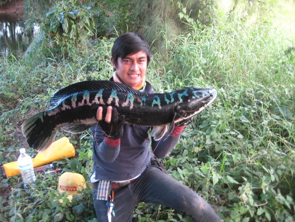 
มาเป็นช๊อตๆ อิอิ 


[q][i]อ้างถึง: Mong_Actionlure posted: 19-08-2554, 11:10:01[/i]

+ป๊าดดดด