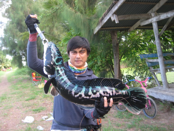อีกรูป ครับ 

[q][i]อ้างถึง: rampage2 posted: 19-08-2554, 11:42:24[/i]

 :cheer: :cheer:[/q]

