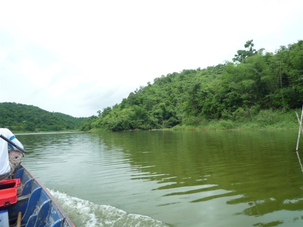 หัวเรือตาดีครับ บอกโน้น ผมเลยเอากล้องถ่ายไม่ยักกะเห็น  :laughing: :laughing: :laughing: