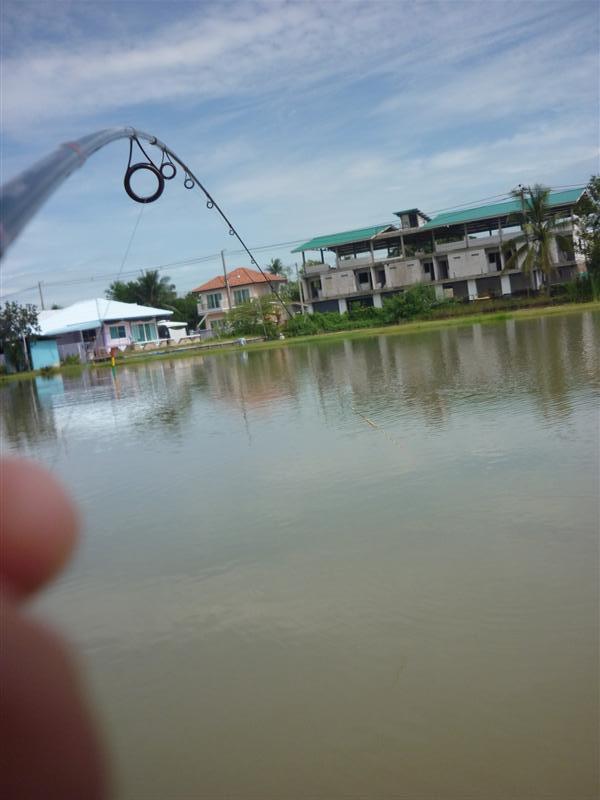 แต่ เอ... :think:  ในเมื่อตอนแรกดูจากการตอดแล้วคิดว่ามันใช่แต่ทำไมมันหนักๆอย่างนี้ :think: