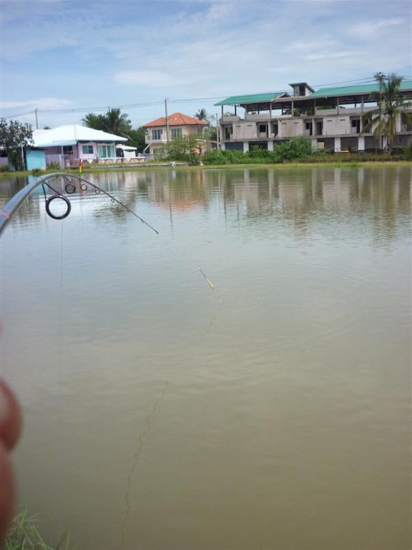 ลงสองข้อ สามข้อ อีกแล้ว ฟับ ! เข้าให้ :smile:
