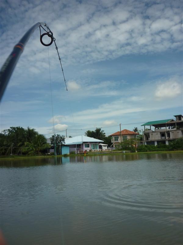 เจ้านี่อาการตอดแบบนี้ ถ้ามันใช่ที่ผมคิด :think:
