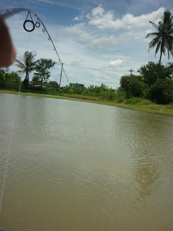 แต่เจ้านี่มันสู้ครับ