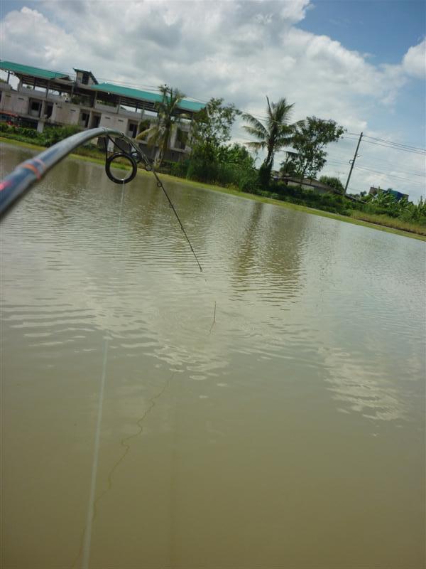 ต่อมา....