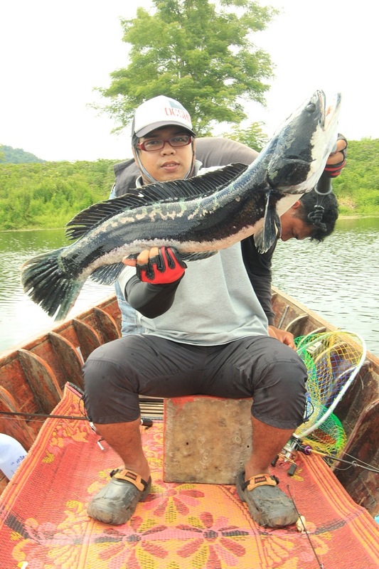 ยินดีด้วยครับน้าเอ๊กซ์กัปลาชะโดใหญ่ครั้งแรก :cheer: :cheer: