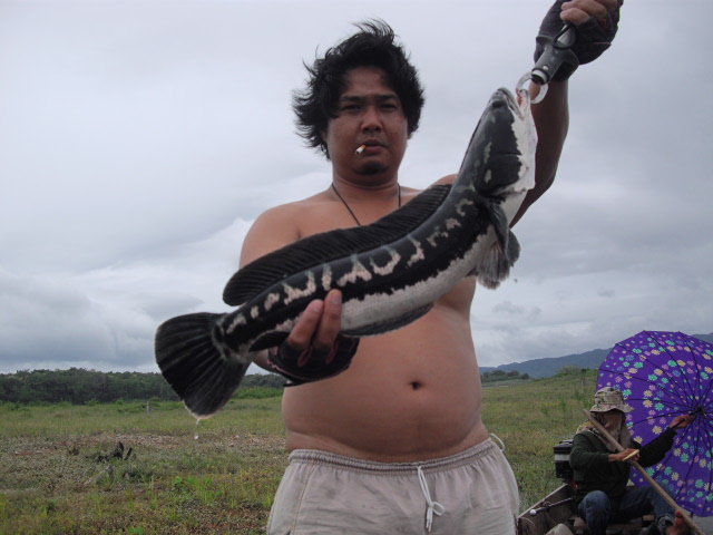 ขอพี่หล่อสักรูปสิ ก่อนฝนจะตกงานนี้มีเปียก :laughing: :laughing: :laughing: